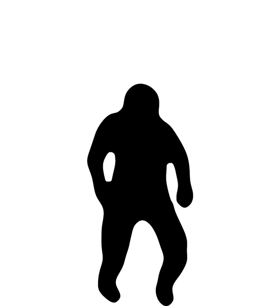 Neurosteer